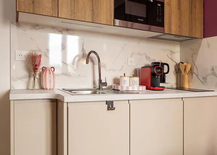 303 Chanzy - Eden - T1 Chic & Spacieux * Le Mans